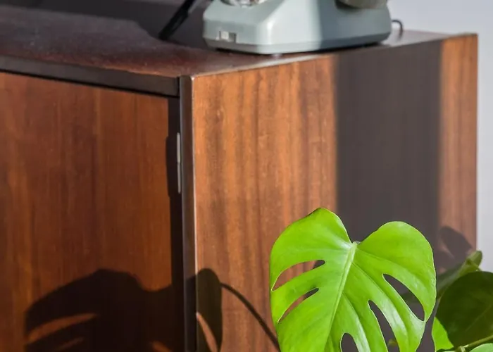 Orange And Towers Breslavia